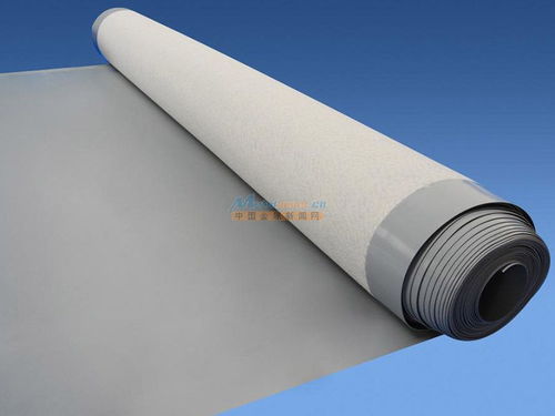 煙臺地區(qū)防水全解析 材料選擇、堵漏技術(shù)與工程實踐